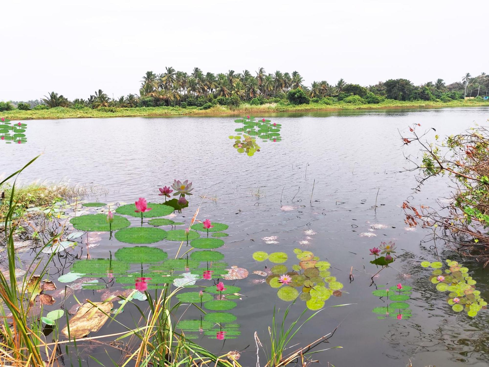 Hotel Sonia Mahi Inn Kanyakumari Exteriör bild